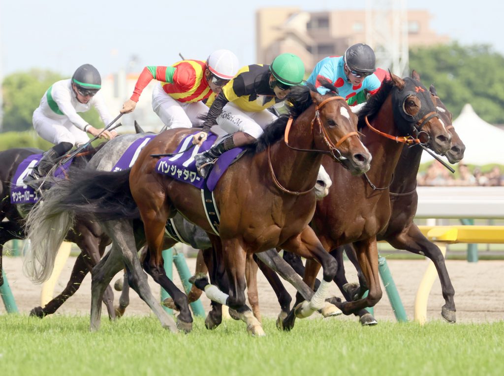 NHK Mile Cup
