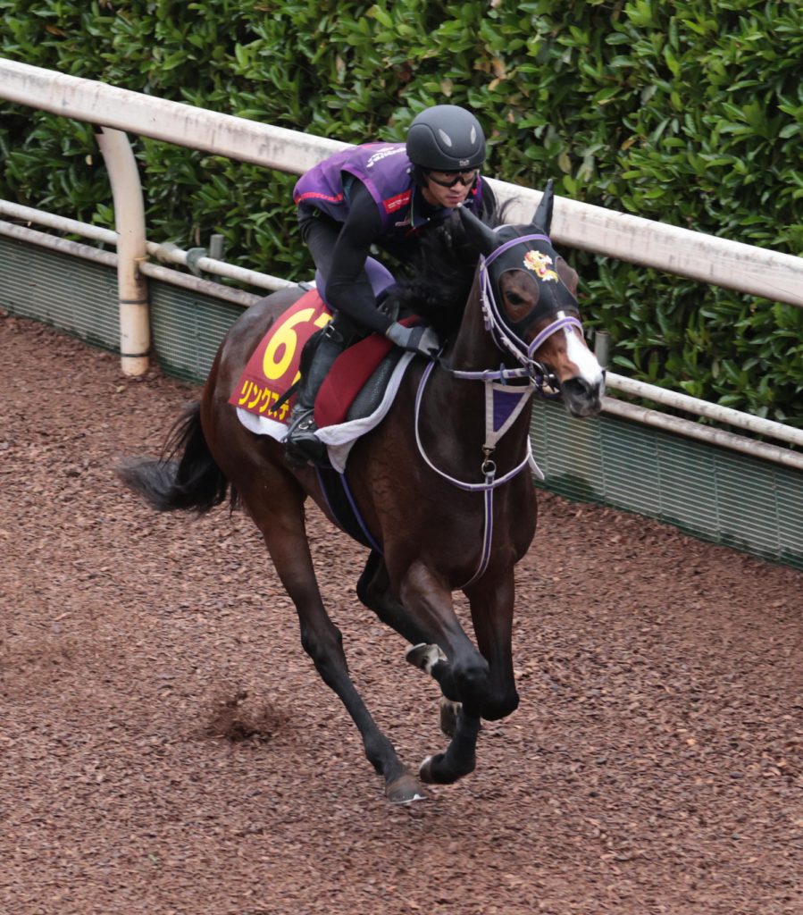 Yushun Himba