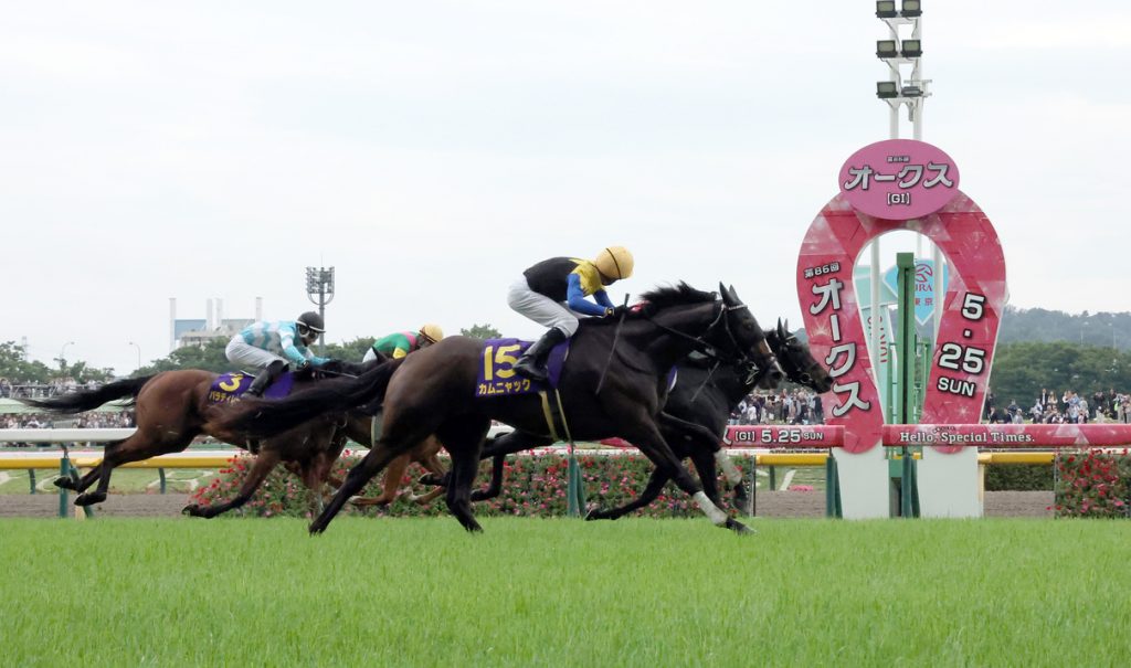 Yushun Himba