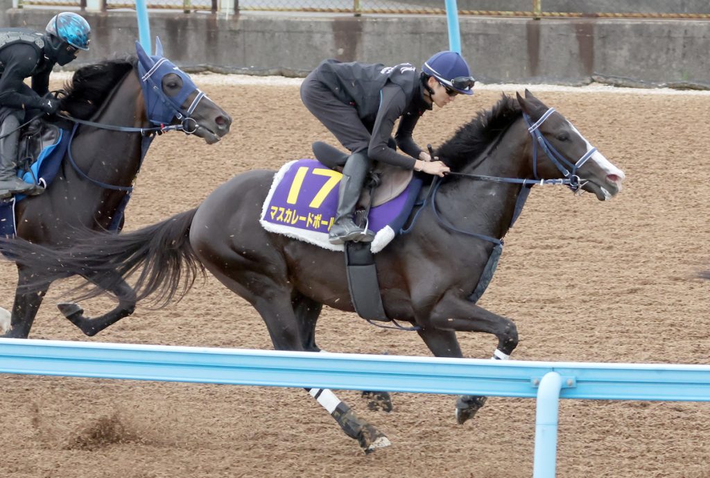 Tokyo Yushun