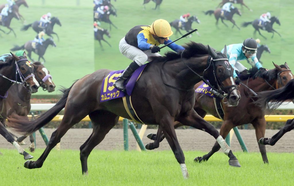 Yushun Himba
