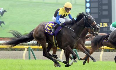 Yushun Himba