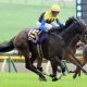 Yushun Himba