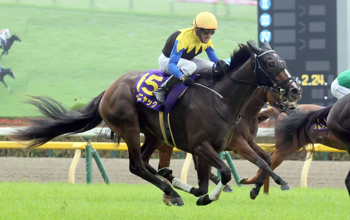 Yushun Himba
