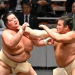 sumo