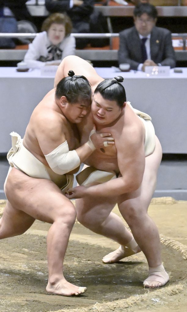 sumo