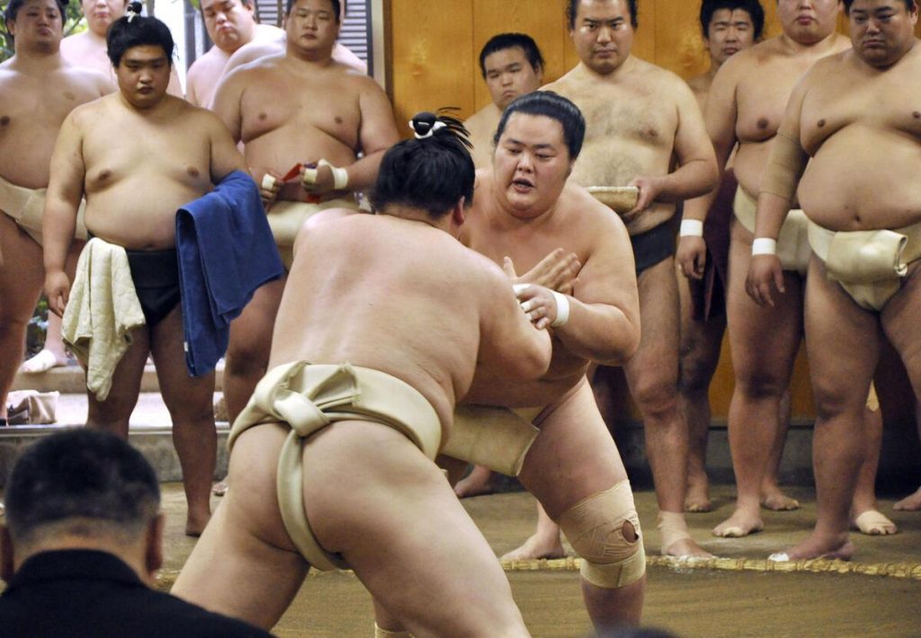 sumo