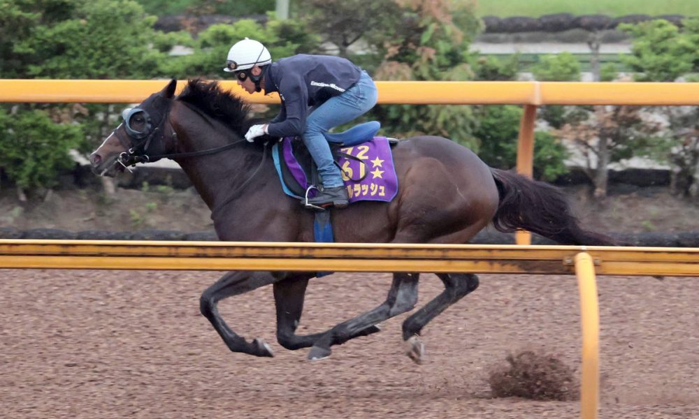 Yasuda Kinen