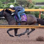 Yasuda Kinen