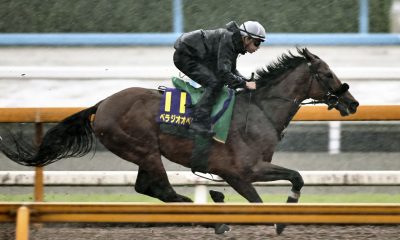 Takarazuka Kinen