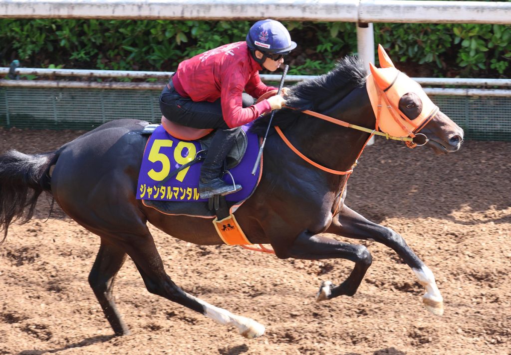 Yasuda Kinen