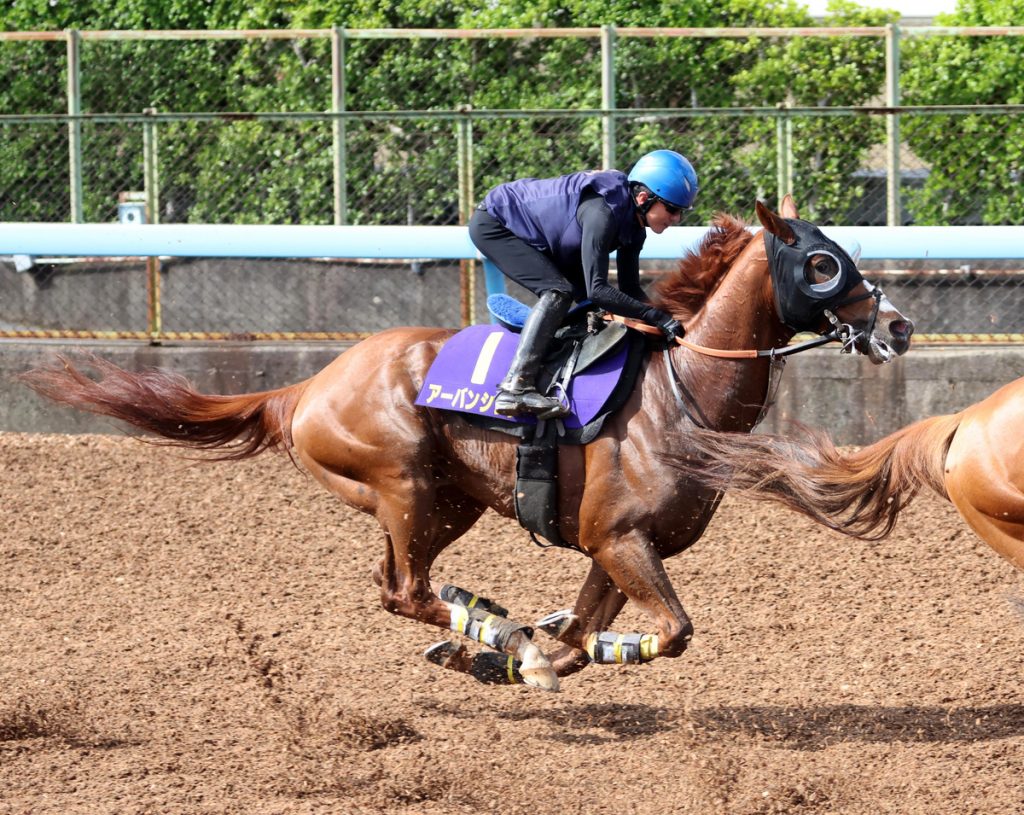 Takarazuka Kinen