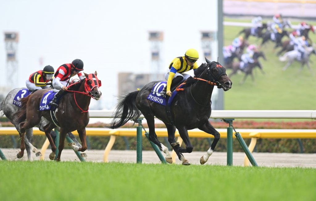 Yasuda Kinen
