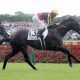 Tokyo Yushun