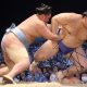 Nagoya Basho