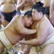sumo