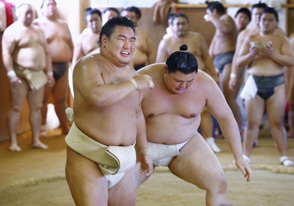 sumo
