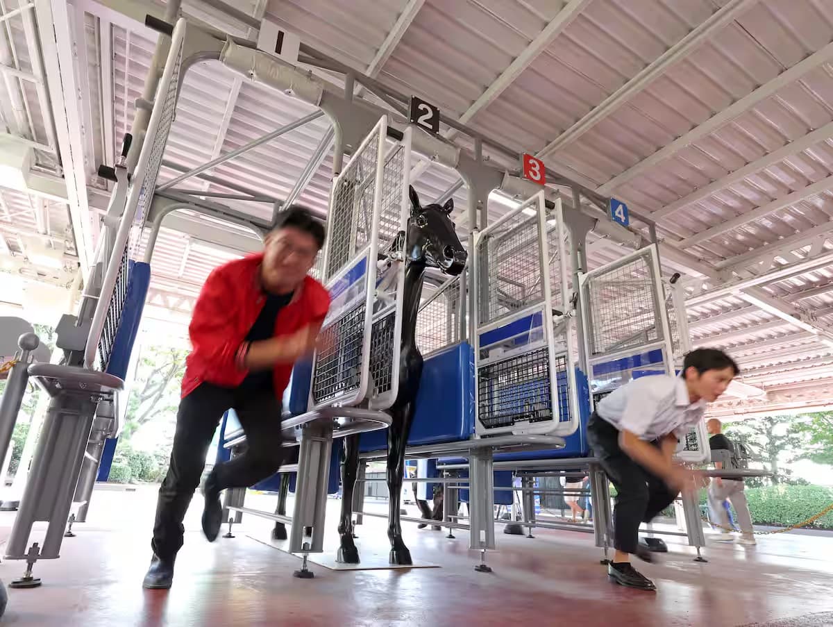 starting gate