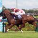 Sprinters Stakes