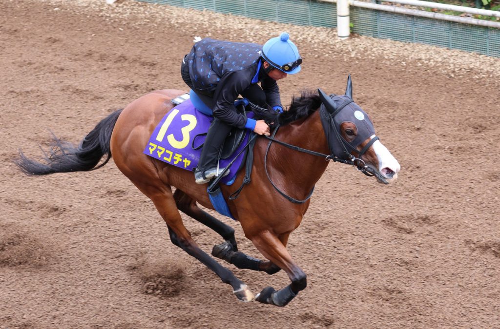 Sprinters Stakes