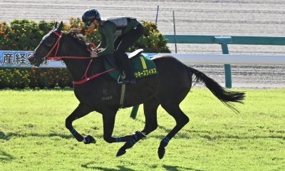 Sprinters Stakes
