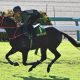 Sprinters Stakes