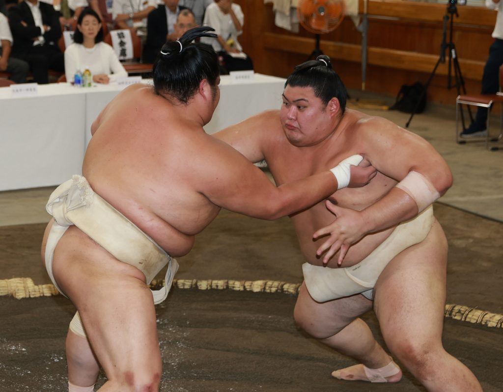 sumo