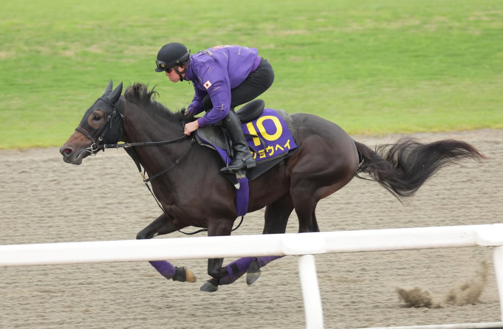 Kikuka Sho
