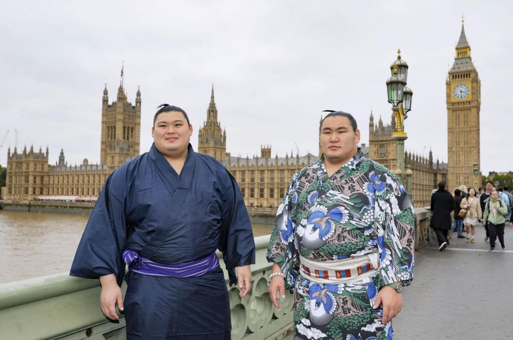 sumo