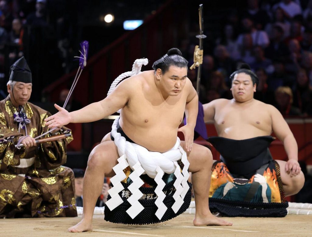 sumo
