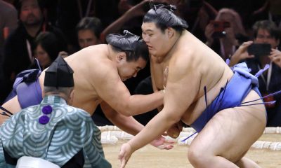 sumo