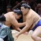 sumo