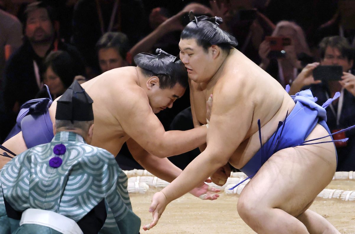 sumo