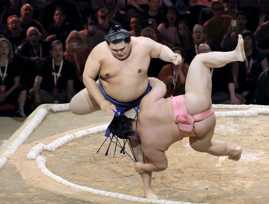 sumo