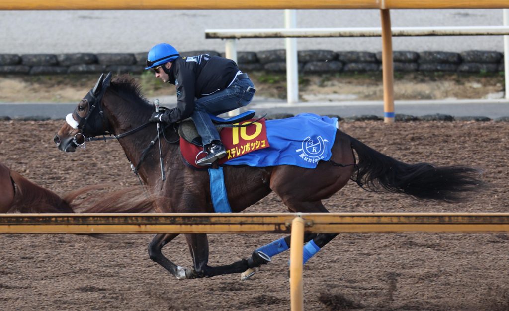 Queen Elizabeth II Cup