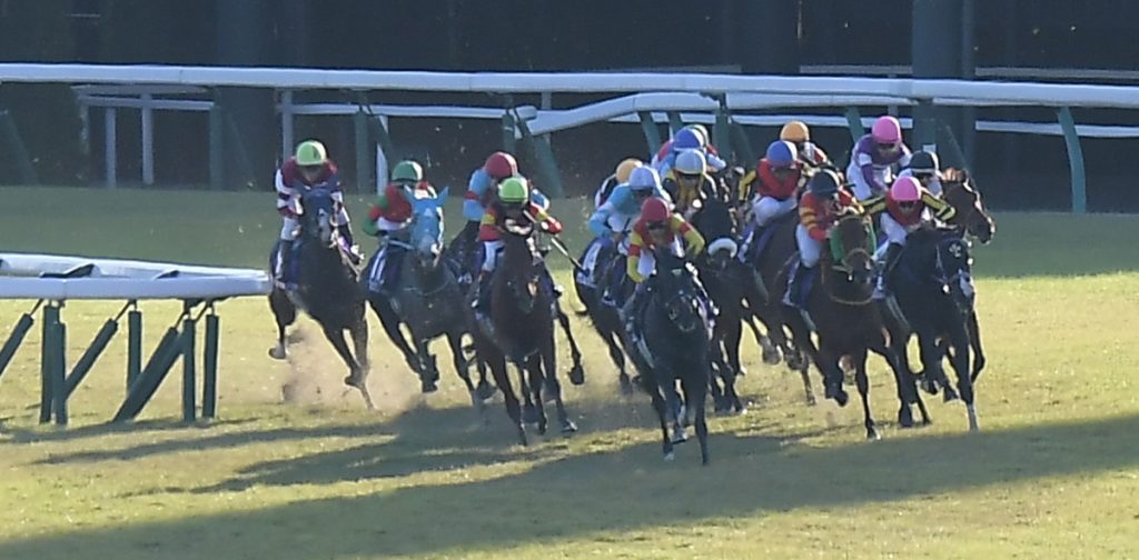 Queen Elizabeth II Cup