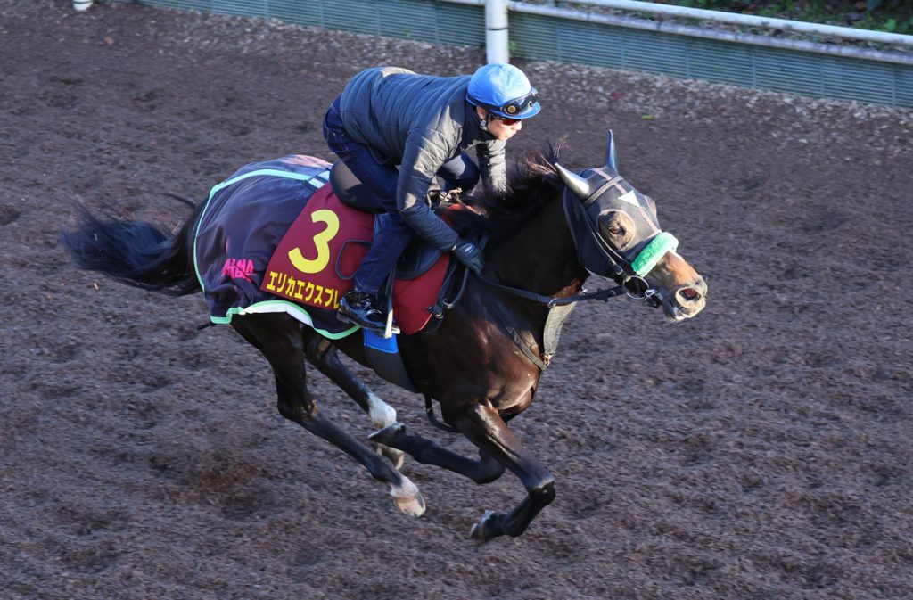 Queen Elizabeth II Cup