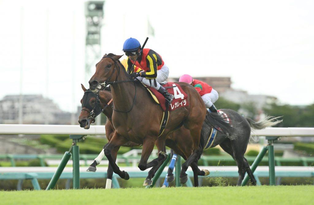 Queen Elizabeth II Cup