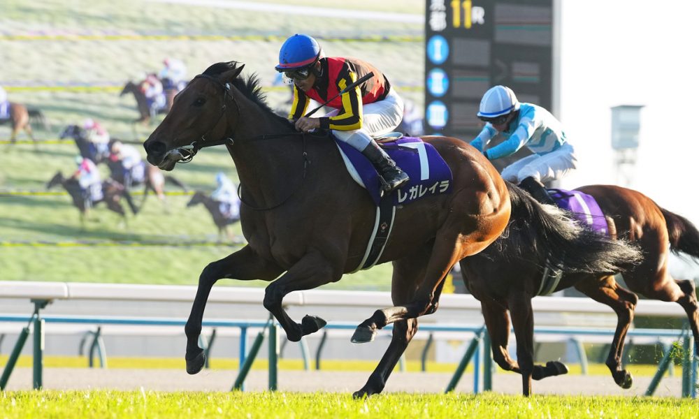 Queen Elizabeth II Cup