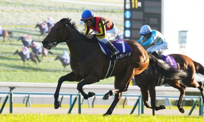 Queen Elizabeth II Cup