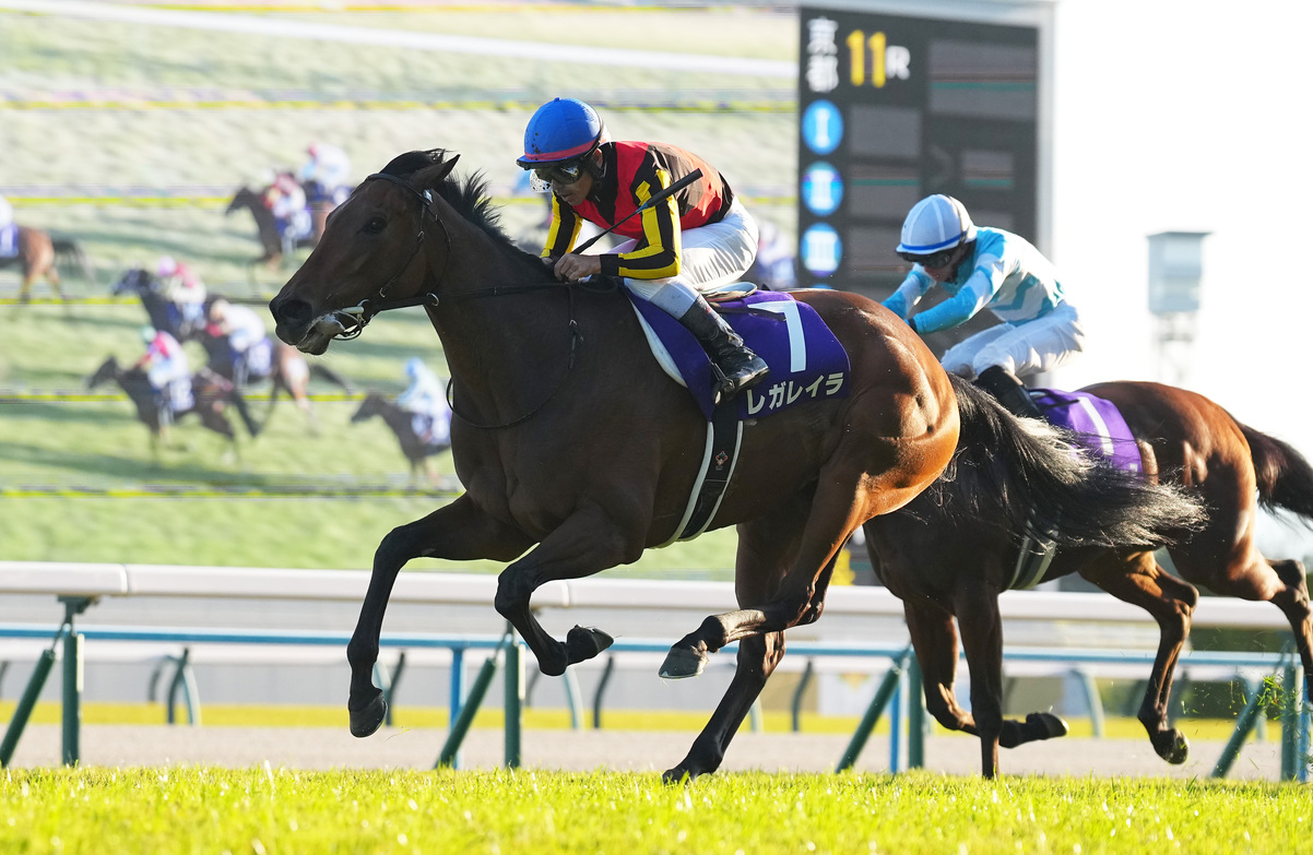 Queen Elizabeth II Cup