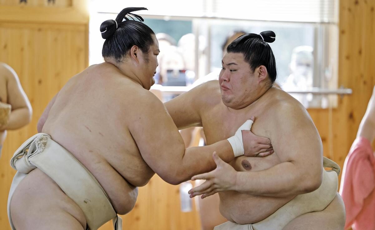 sumo