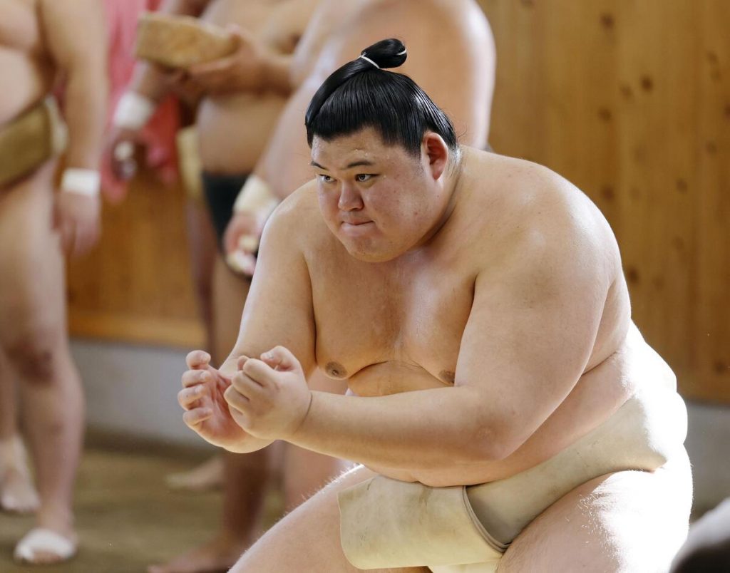 sumo