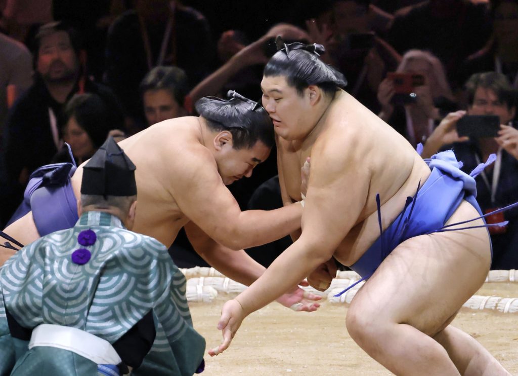 sumo