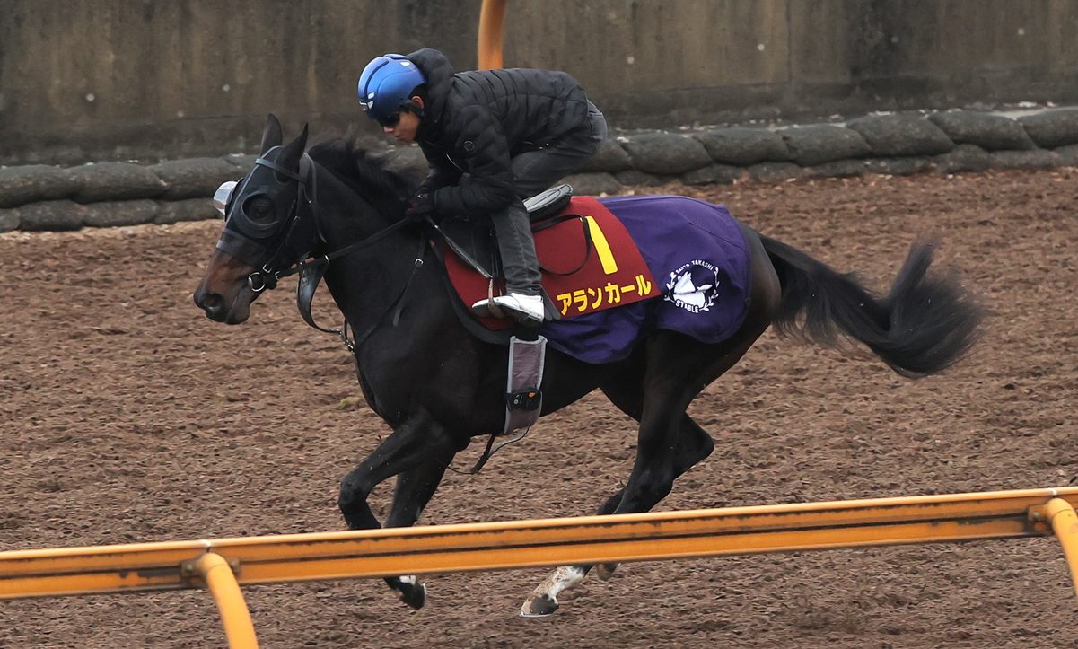 Hanshin Juvenile Fillies