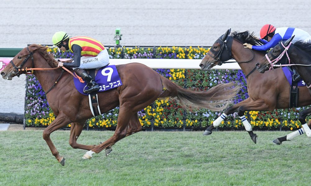 Hanshin Juvenile Fillies