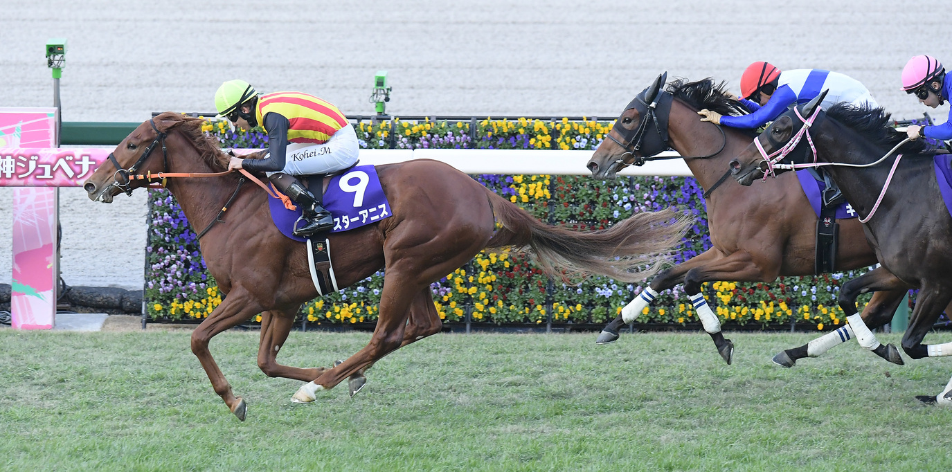 Hanshin Juvenile Fillies