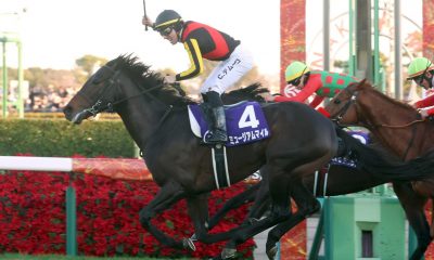 Arima Kinen