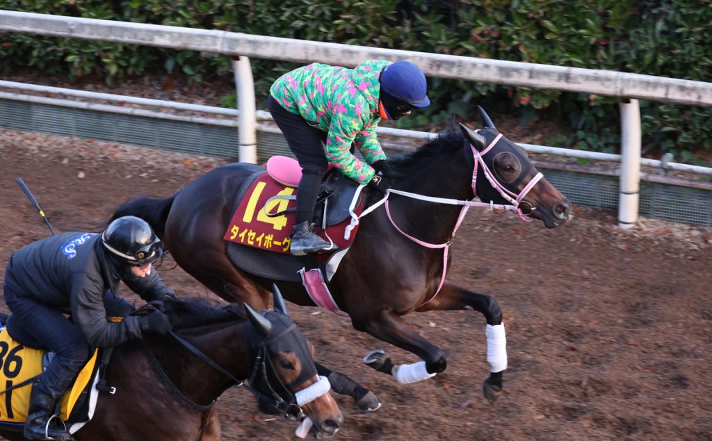 Hanshin Juvenile Fillies