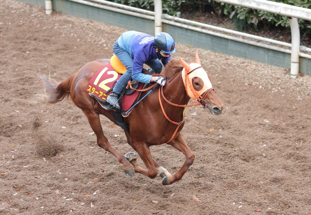 Hanshin Juvenile Fillies